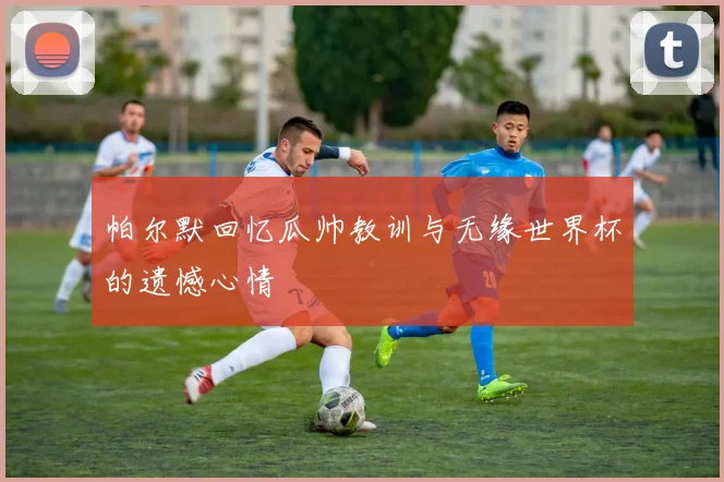帕尔默回忆瓜帅教训与无缘世界杯的遗憾心情